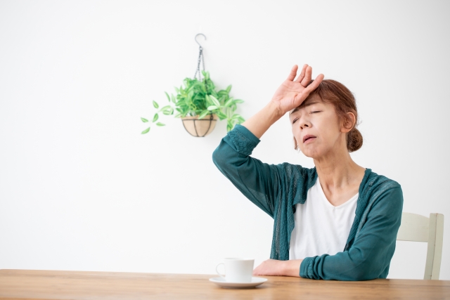青汁緑茶【心】が夏バテ対策におすすめな理由